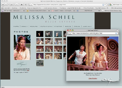 Melissa Schiel website Circa 2009